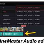 KineMaster-audio-add
